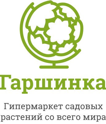 www.garshinka.ru